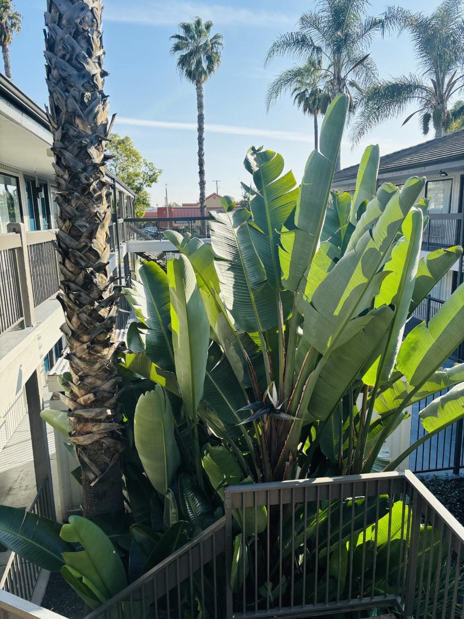 Motel 6-Santa Ana, Ca ภายนอก รูปภาพ